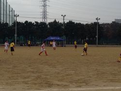 20141111soccer02.jpg