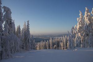 finland_winter.jpg