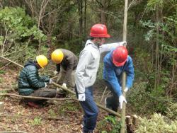 20160328_forest_spring002.JPG