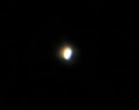 IMG_0420venus.jpg