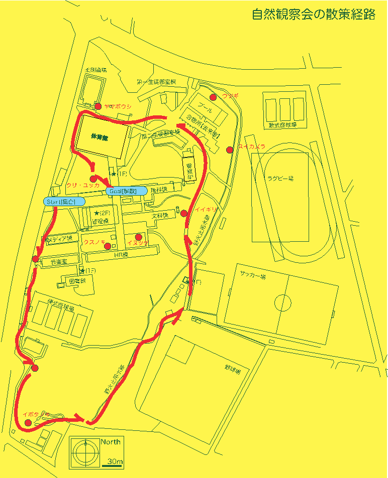 自然観察会経路図20130525.png